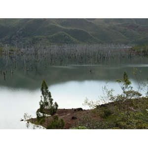 Picture New Caledonia Parc de la Riviere Bleue 2010-05 24 - Car Rental Parc de la Riviere Bleue