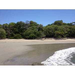 Picture Costa Rica Manuel Antonio 2015-03 282 - Journey Manuel Antonio