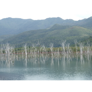 Picture New Caledonia Parc de la Riviere Bleue 2010-05 86 - Visit Parc de la Riviere Bleue