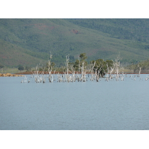 Picture New Caledonia Parc de la Riviere Bleue 2010-05 43 - Perspective Parc de la Riviere Bleue