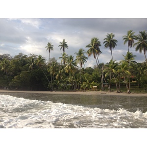 Picture Costa Rica Manuel Antonio 2015-03 97 - Photo Manuel Antonio