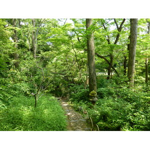 Picture Japan Tokyo Nezu Museum 2010-06 95 - Trail Nezu Museum