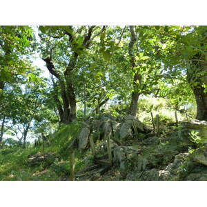 Picture Fiji Tavuni Hill Fort 2010-05 1 - Picture Tavuni Hill Fort