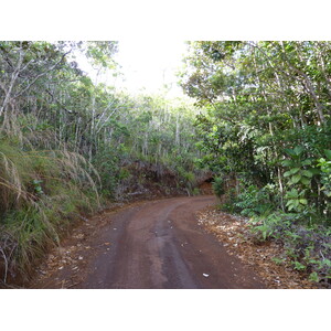 Picture New Caledonia Parc de la Riviere Bleue 2010-05 132 - Road Parc de la Riviere Bleue