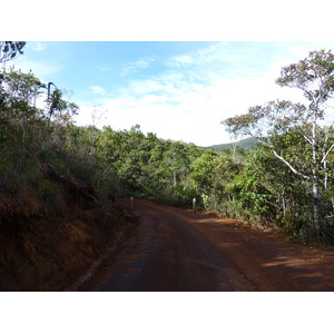 Picture New Caledonia Parc de la Riviere Bleue 2010-05 139 - Trip Parc de la Riviere Bleue