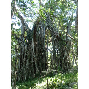 Picture Fiji Tavuni Hill Fort 2010-05 12 - Sightseeing Tavuni Hill Fort