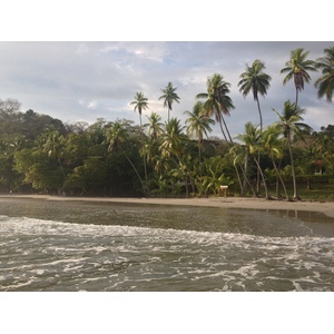 Picture Costa Rica Manuel Antonio 2015-03 263 - Sight Manuel Antonio