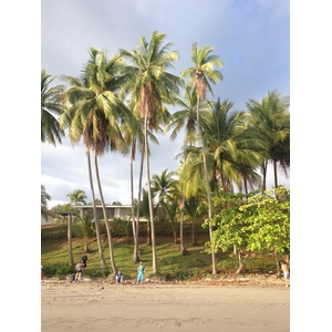 Picture Costa Rica Manuel Antonio 2015-03 161 - Photo Manuel Antonio