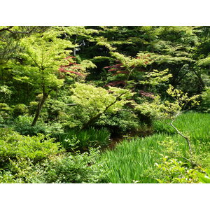 Picture Japan Tokyo Nezu Museum 2010-06 35 - Store Nezu Museum