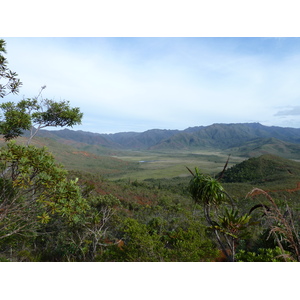 Picture New Caledonia Parc de la Riviere Bleue 2010-05 93 - Picture Parc de la Riviere Bleue