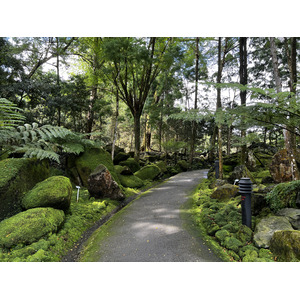 Picture Singapore Singapore Botanic Gardens 2023-01 0 - Photo Singapore Botanic Gardens