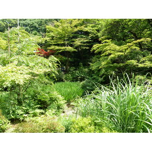 Picture Japan Tokyo Nezu Museum 2010-06 36 - Car Rental Nezu Museum