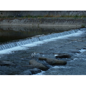 Picture Japan Kyoto Kamo River 2010-06 41 - Pictures Kamo River