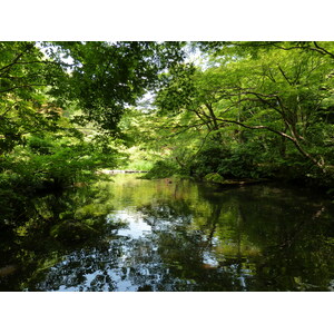 Picture Japan Tokyo Nezu Museum 2010-06 116 - Pictures Nezu Museum