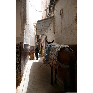 Picture Morocco Fes 2008-07 30 - Flights Fes