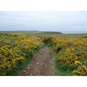 Picture United Kingdom Pembrokeshire Martins Havens 2006-05 14 - Picture Martins Havens