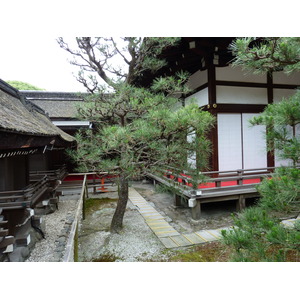 Picture Japan Kyoto Kamomioya Shrine(Shimogamo Shrine) 2010-06 42 - Discover Kamomioya Shrine(Shimogamo Shrine)