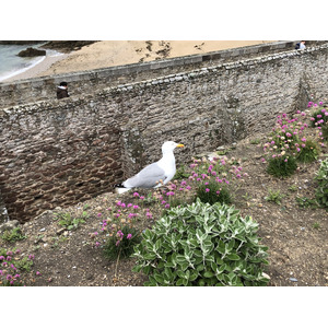 Picture France St Malo 2020-06 30 - Photographer St Malo