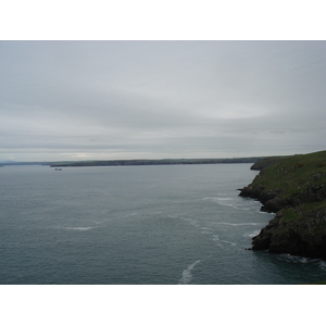 Picture United Kingdom Pembrokeshire Martins Havens 2006-05 17 - Visit Martins Havens