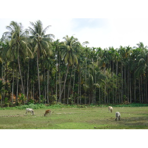 Picture Myanmar Maungmagan North 2005-01 62 - Trips Maungmagan North