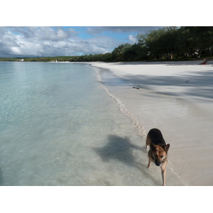 Picture New Caledonia Lifou Chateaubriant bay 2010-05 73 - Visit Chateaubriant bay