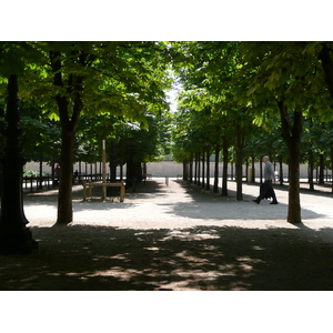 Picture France Paris Garden of Tuileries 2007-05 323 - Visit Garden of Tuileries