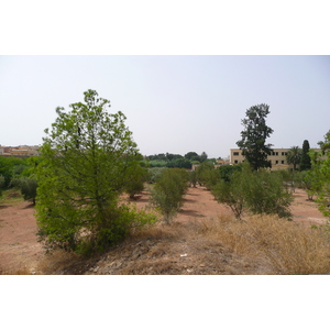 Picture Morocco Meknes 2008-07 82 - Car Rental Meknes