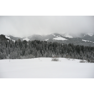 Picture France Megeve Le Planay 2010-02 53 - Sight Le Planay