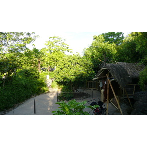 Picture France Disneyland Paris La Cabane des Robinson 2007-07 6 - Travel La Cabane des Robinson