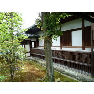 Picture Japan Kyoto Nijo Castle 2010-06 102 - Discover Nijo Castle