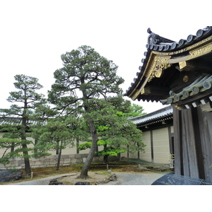 Picture Japan Kyoto Nijo Castle 2010-06 16 - Trips Nijo Castle