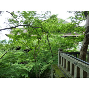 Picture Japan Kyoto Kiyomizu Dera Temple 2010-06 58 - Flights Kiyomizu Dera Temple