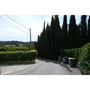 Picture France Vence Hauts de Vence 2008-03 36 - Trail Hauts de Vence