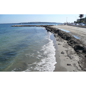 Picture France Cannes Plage Gazagnaire 2008-03 71 - Tourist Attraction Plage Gazagnaire