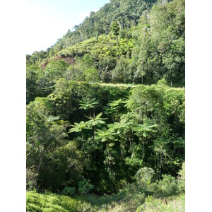 Picture New Caledonia Canala to La Foa road 2010-05 53 - Perspective Canala to La Foa road