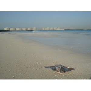 Picture United Arab Emirates Dubai Jumeirah Beach 2007-03 21 - Road Jumeirah Beach