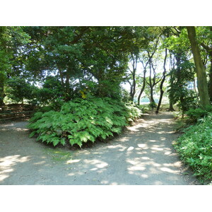 Picture Japan Tokyo Hama rikyu Gardens 2010-06 43 - Road Hama rikyu Gardens