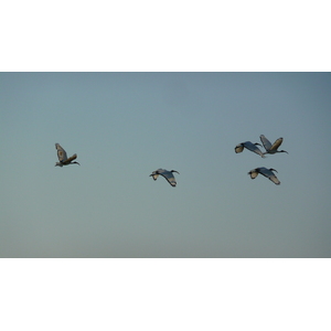 Picture France Guerande Les marais salants 2007-08 7 - Photographer Les marais salants