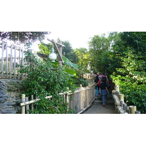 Picture France Disneyland Paris La Cabane des Robinson 2007-07 24 - Journey La Cabane des Robinson