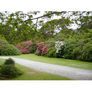 Picture Ireland Kerry Killarney National Park Muckross House 2004-05 17 - Sight Muckross House