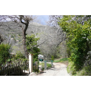 Picture France Vence Hauts de Vence 2008-03 88 - Trail Hauts de Vence