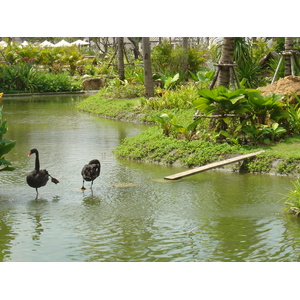 Picture Thailand Khao Lak Meridien Khao Lak Hotel 2005-12 6 - Pictures Meridien Khao Lak Hotel