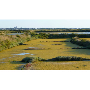 Picture France Guerande Les marais salants 2007-08 33 - Pictures Les marais salants