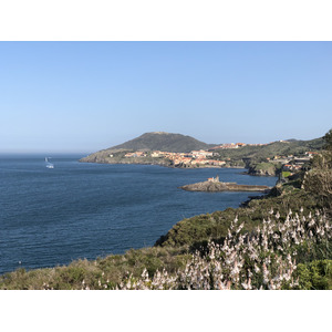 Picture France Collioure 2018-04 164 - Photographers Collioure