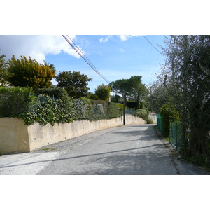 Picture France Vence Hauts de Vence 2008-03 44 - Randonee Hauts de Vence