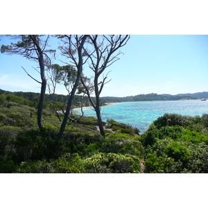 Picture France Porquerolles Island Pointe du Lequin 2008-05 22 - Travels Pointe du Lequin