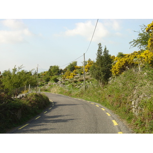 Picture Ireland Kerry Caragh Lake 2004-05 4 - Journey Caragh Lake