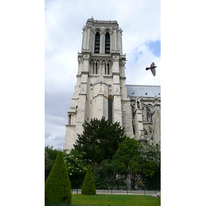 Picture France Paris Notre Dame 2007-05 53 - Tourist Places Notre Dame