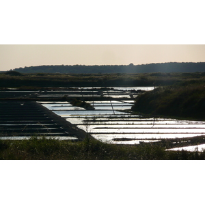 Picture France Guerande Les marais salants 2007-08 1 - Trip Les marais salants