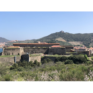 Picture France Collioure 2018-04 294 - Tourist Places Collioure